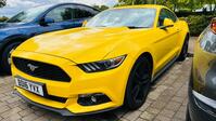 FORD MUSTANG